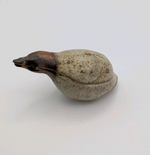 Tremar pottery cornwall - tremar,