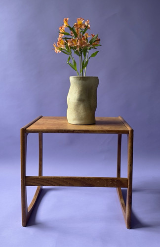Ceramic pot with - , plant