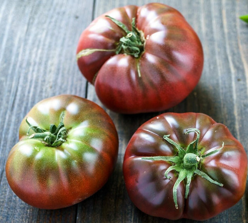 Black brandywine tomato - 15,