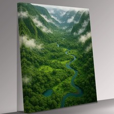 Misty Rainforest Valley