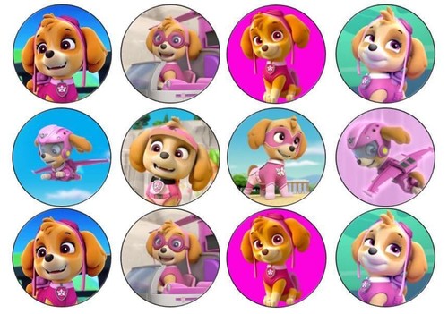 Inspired patrol skye edible - skye,
