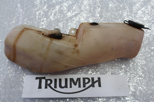 Triumph sprint 955i - triumph,