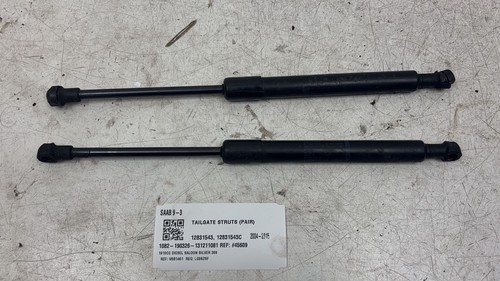 Saab tailgate struts - tailgate,
