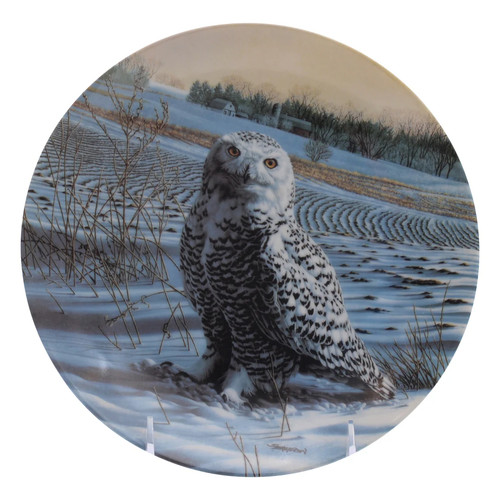 Plate the snowy owl - plate,