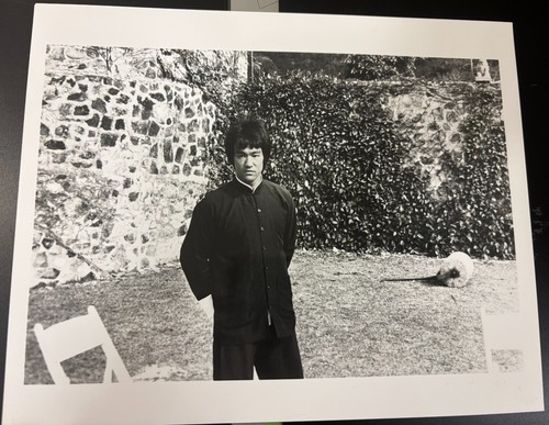 Bruce lee photo - photo, enter