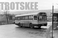 35mm black and white negative - and,