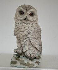 Beautiful Royal Doulton Natures Heritage - Snowy Owl