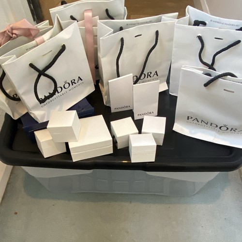 Pandora logo white paper gift - white,