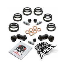 Brake Caliper Seal NT700V