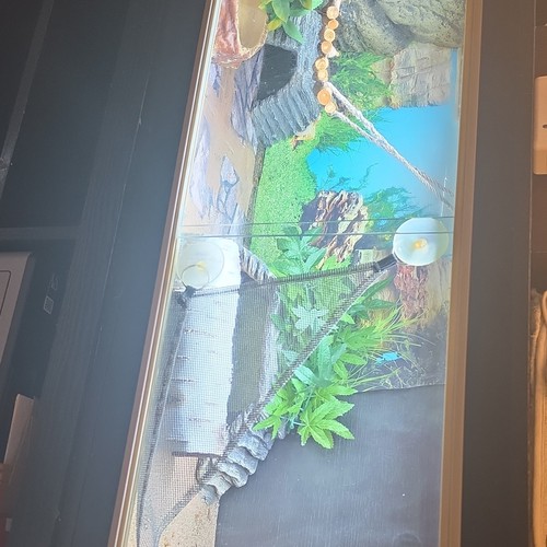 Black wooden vivarium - black,