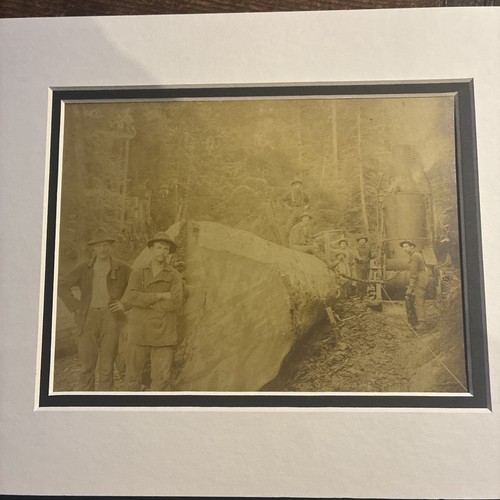 Ford loggers photo - loggers, board
