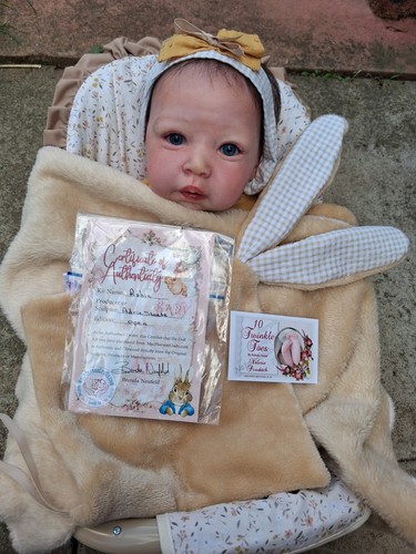 Artist reborn baby doll robin - artist,