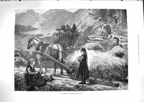 Old antique print 1881 - old, hay