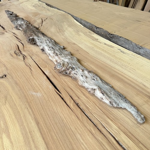 Decorative characterful maple - decorative,