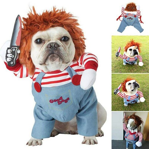 Dog cat pet funny costume - dog,