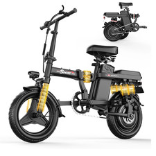 Folding Electric Bike 1200W