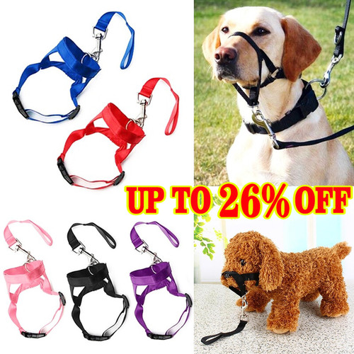 Pet dog muzzle head collar - pet,