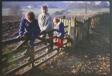 35mm Slide Children Play On Fence in Countryside Kodachrome 1963