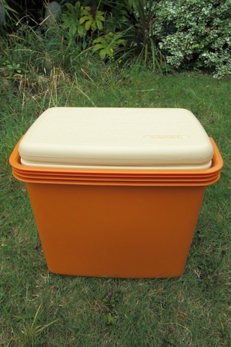 Vintage 1970 orange - vintage, 1970's
