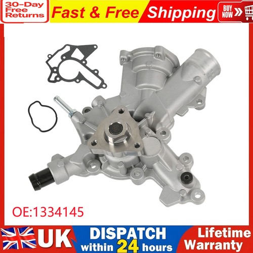 Water pump gasket - w/,