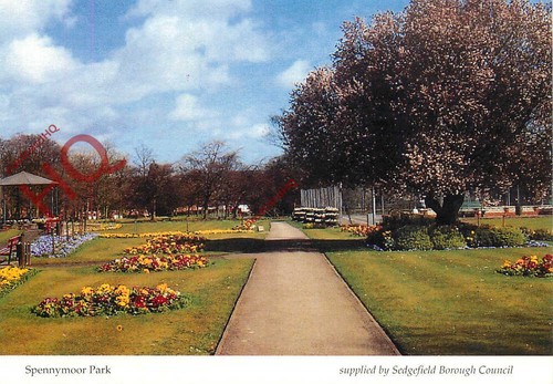 Picture postcard spennymoor - picture,