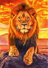 Original A3 Drawing of a Lion