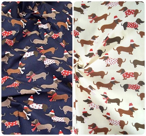 Premium quality dachshund - quality,