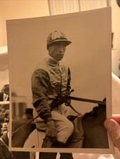 Original Vintage 8x6 Horse