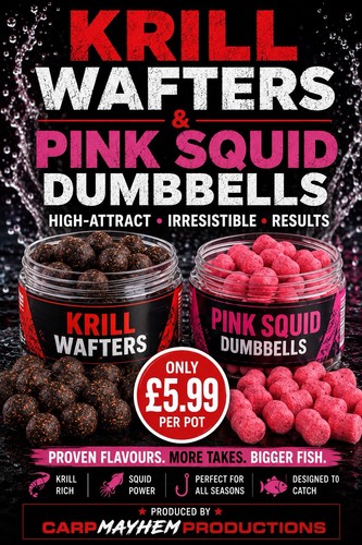 Squid wafters 14mm - squid,