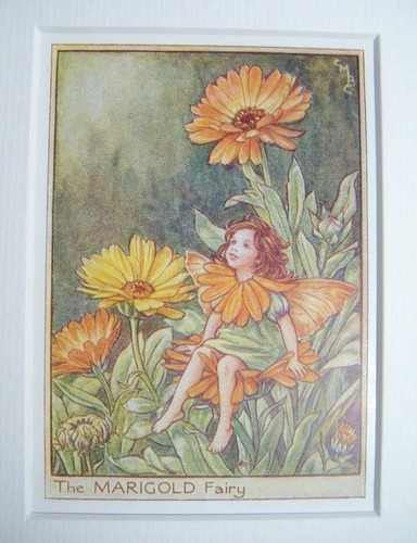Vintage flower fairies - print, &