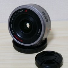 Panasonic LUMIX G X VARIO PZ