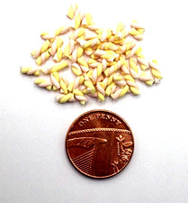 Dolls House Miniatures -