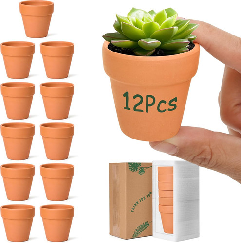 T4u 5cm terracotta plant - 6.5cm,