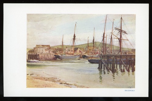 Bridport illustration by - illustration,