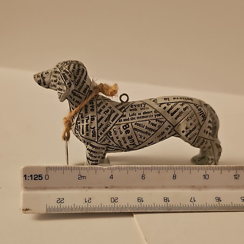 Next dachshund dog - next●dachshund,
