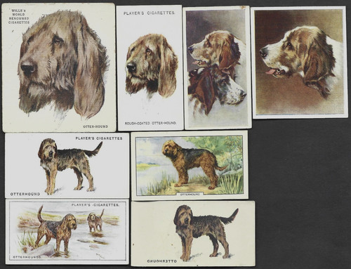 Different vintage otterhound - vintage,