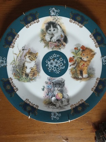 Kitten decorative plate cats - kitten,