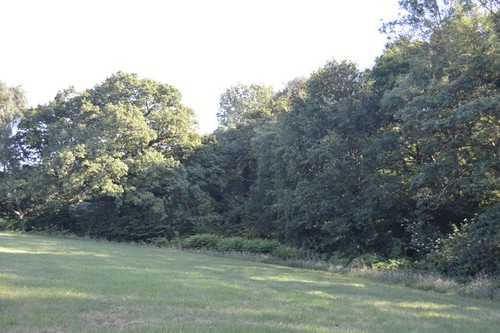 Photo 6x4 footpath along - footpath,