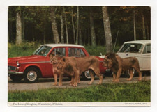 Wiltshire - Warminster, The