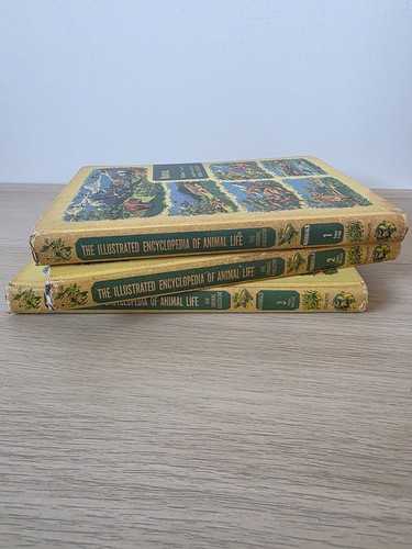 Vintage 1960s illustrated - 1960s,