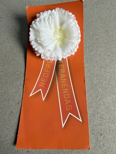 Orange award rosette ribbon - orange,