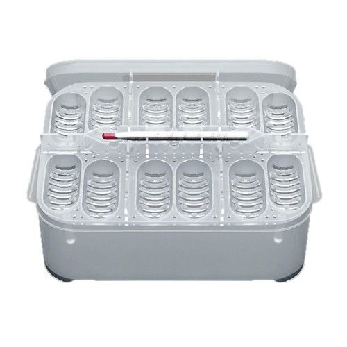 Reptile incubator - reptile, incubator,