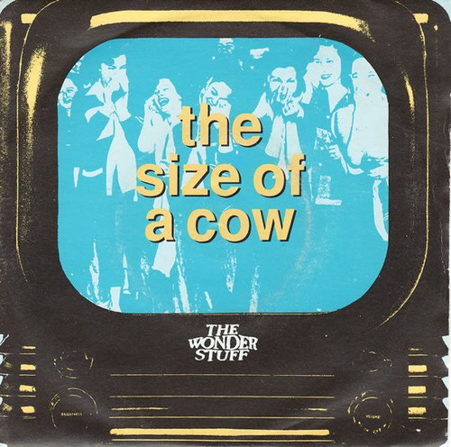 Wonder stuff size cow - size, of