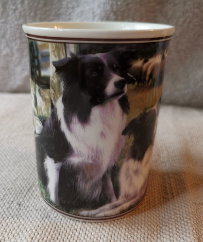Border fine arts ready and - fine,