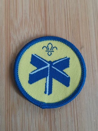 Scouting beaver scout - uk,