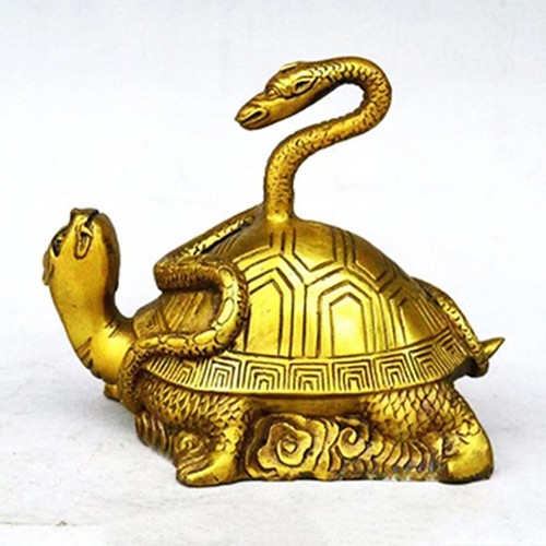 Lucky snake turtle decor - lucky,