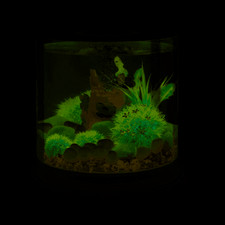 biOrb TUBE 15 Aquarium with