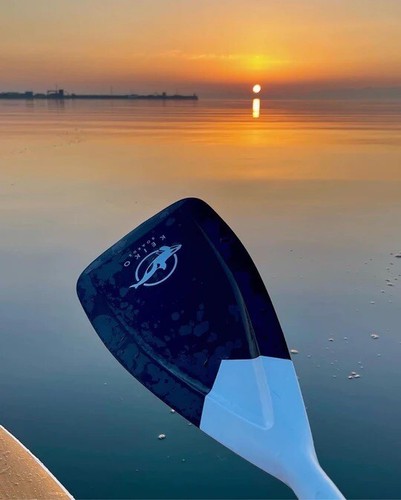 Beautiful half carbon paddles - half,
