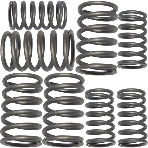 Triumph valve spring set - valve, iron