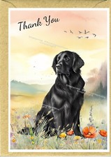 Flatcoated Retriever Dog Thank